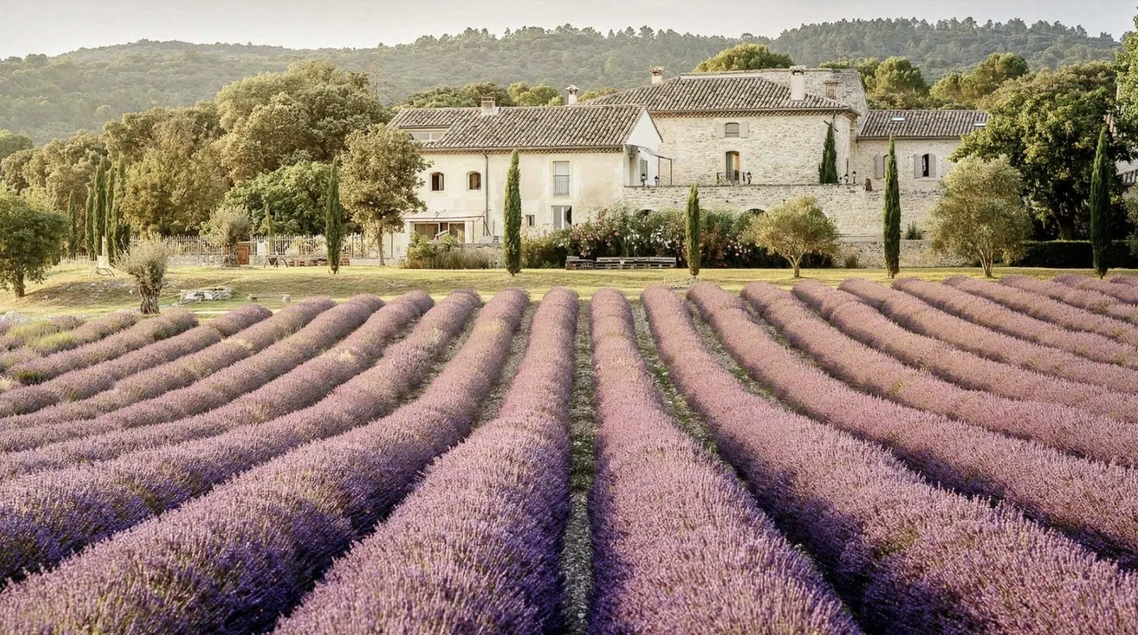 Les Domaines de Patras, a stone farmhouse among lavender fields in Provence, France